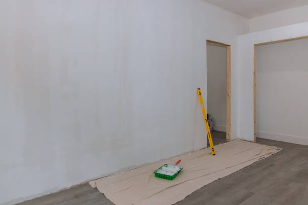 Reliable Kent City, MI Mold Removal Solutions