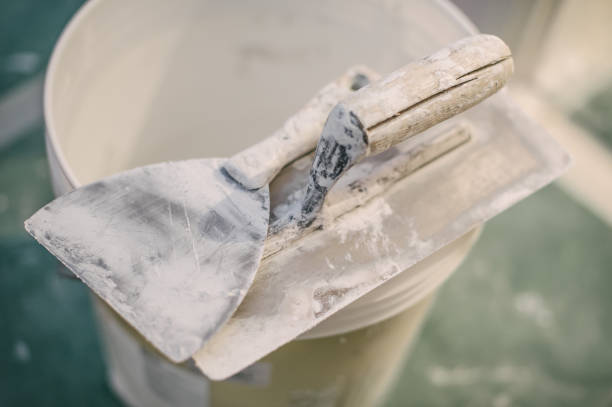 Best Air Quality Testing for Mold Spores  in Kent City, MI